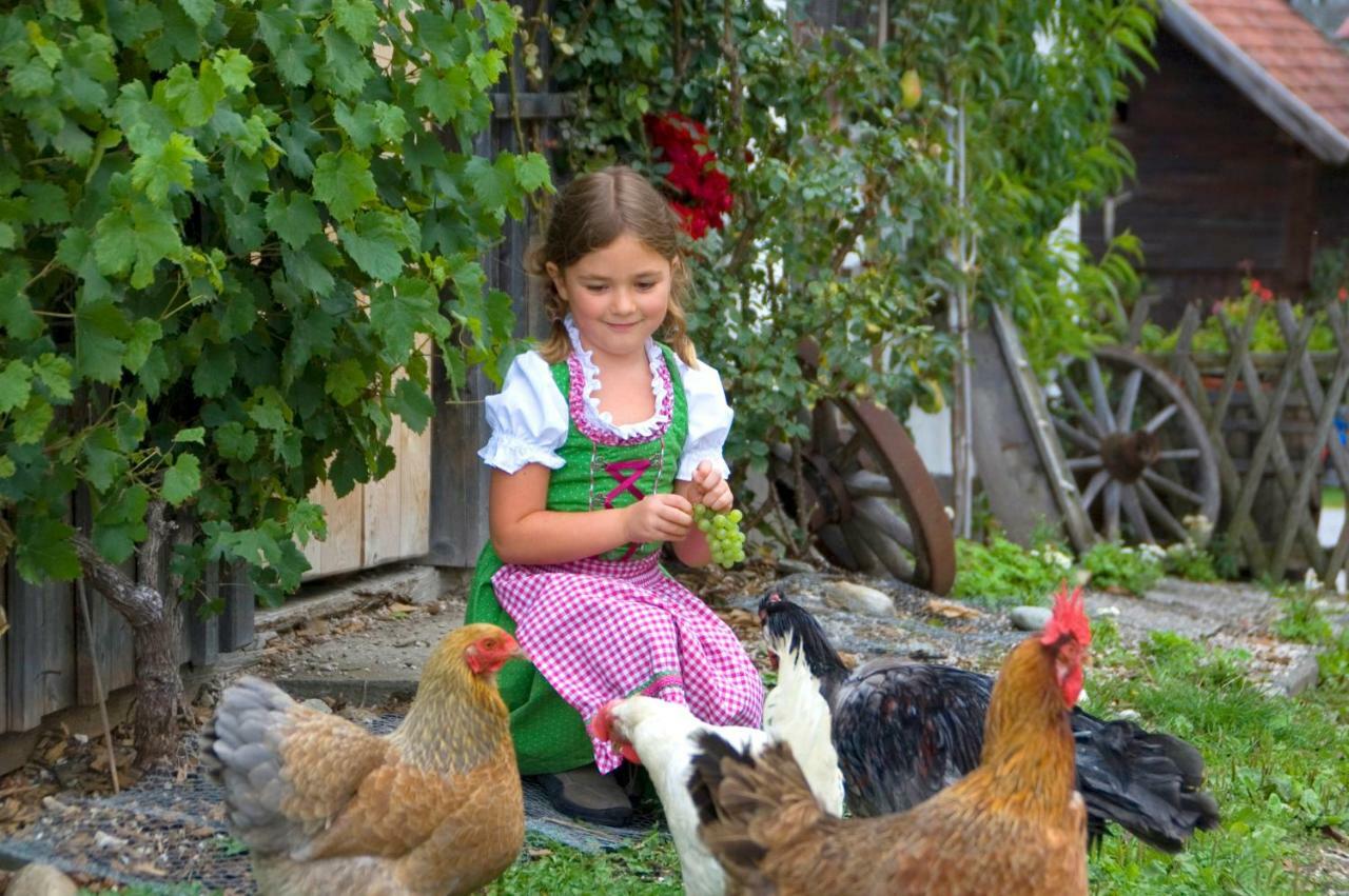 Willa Lutzmannhof Irdning Zewnętrze zdjęcie